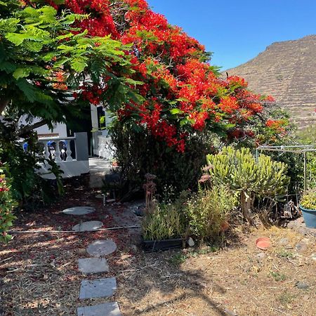 Apartamento rural en Santa Cruz de Tenerife Los Campitos Exterior foto