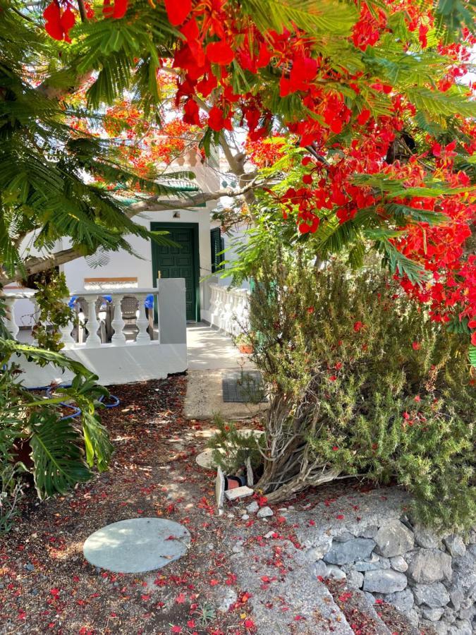 Apartamento rural en Santa Cruz de Tenerife Los Campitos Exterior foto