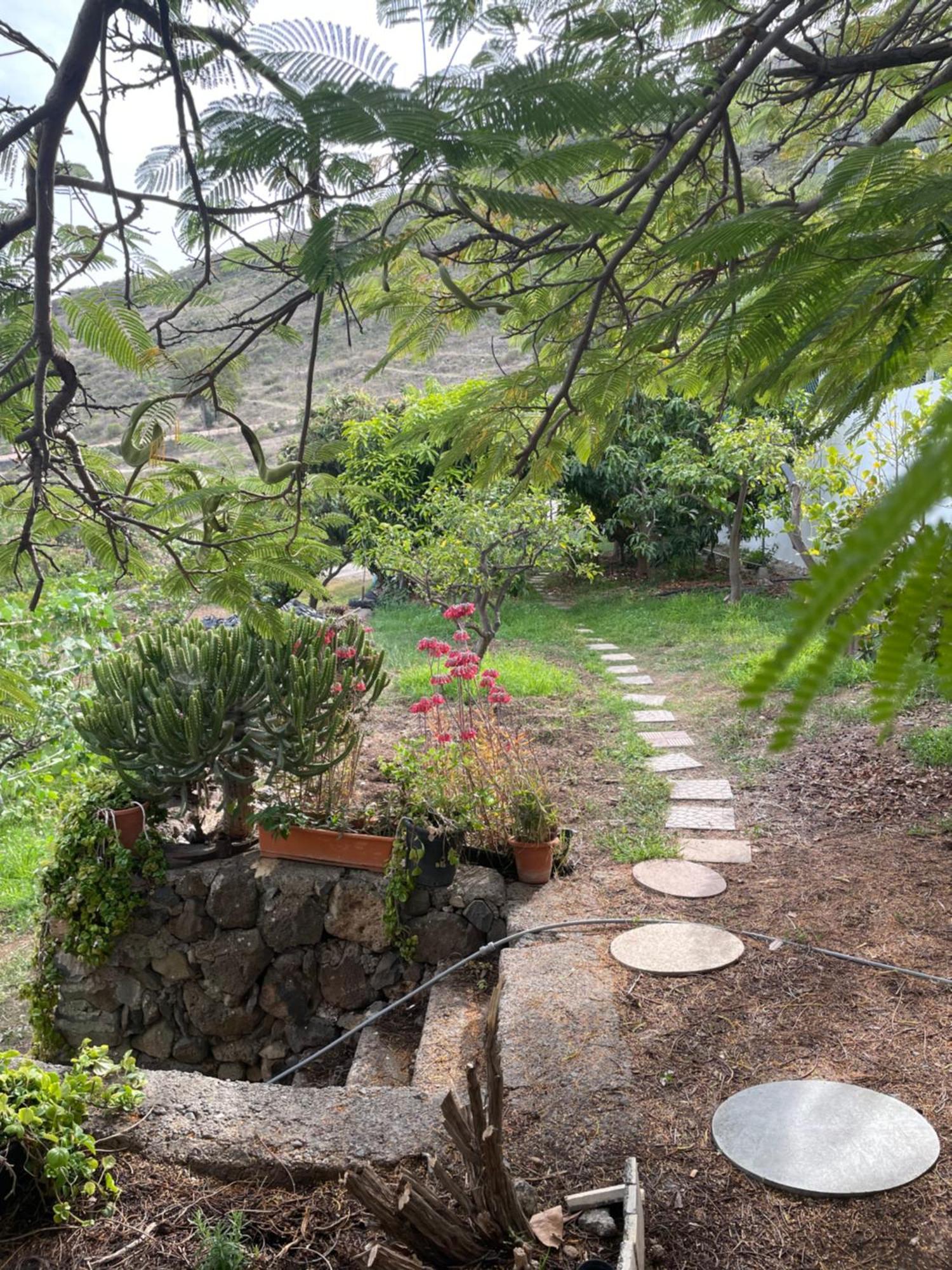 Apartamento rural en Santa Cruz de Tenerife Los Campitos Exterior foto